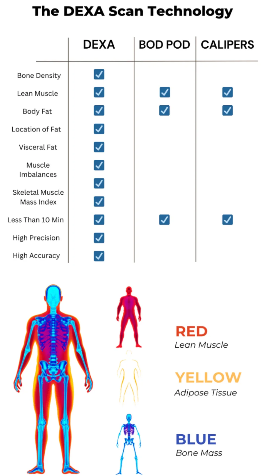 DEXA Scan in Bellevue, WA - Image 2